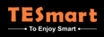 Tesmart logo